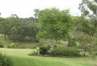 Bona Vistaresidential-landscaping-40.jpg; ?>